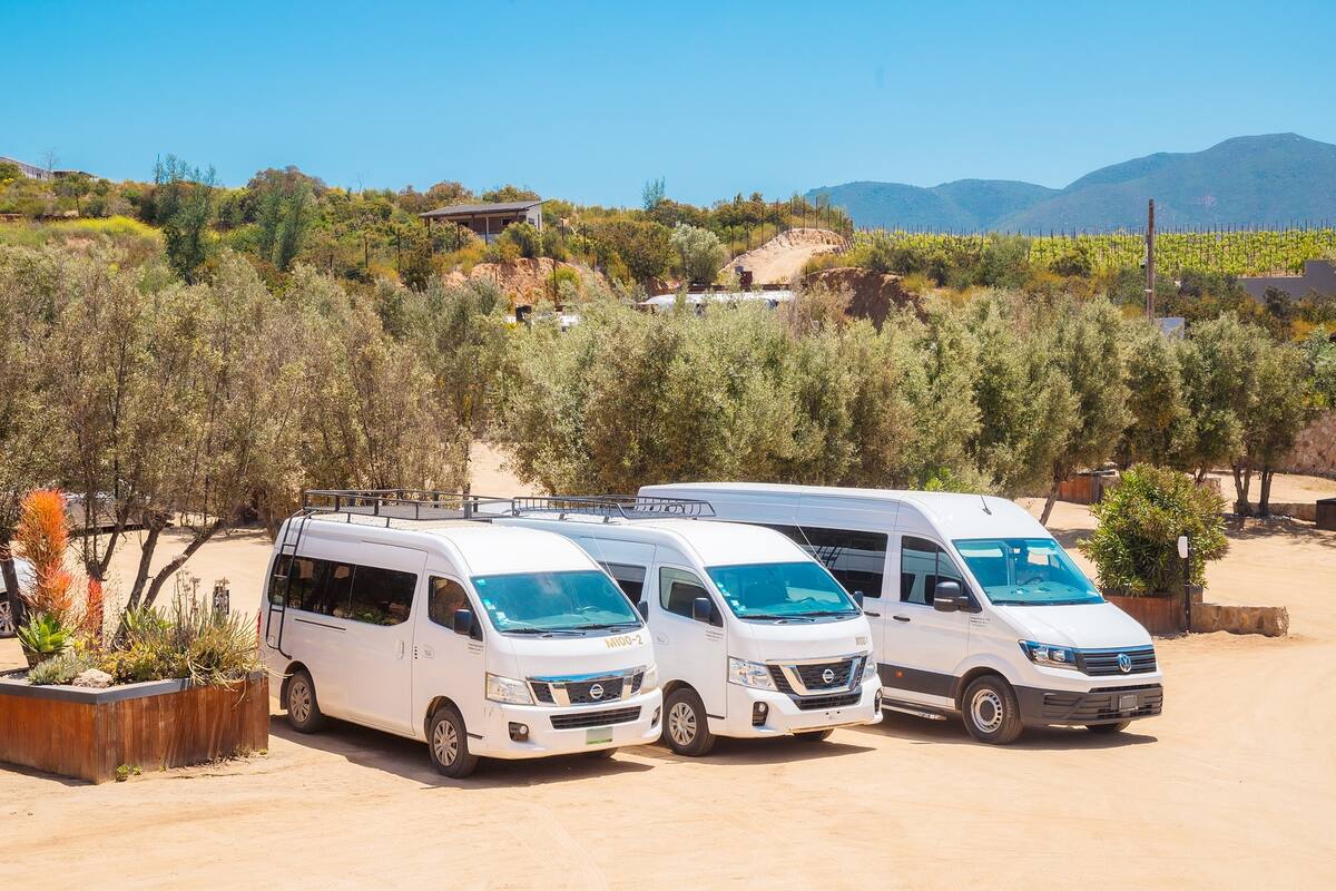 Recupera Valle de Guadalupe a los turistas