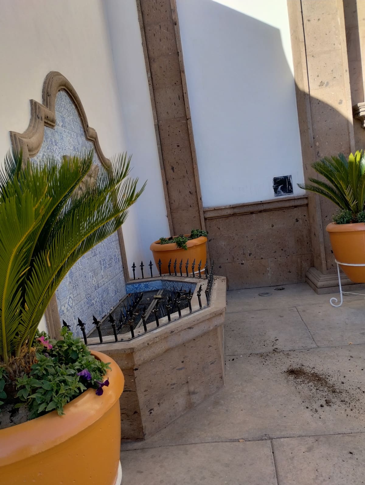 Así quedó el macetero sin palma de ornato que fue robada