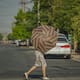 San Luis Río Colorado tendrá otro día de calor extremo este jueves