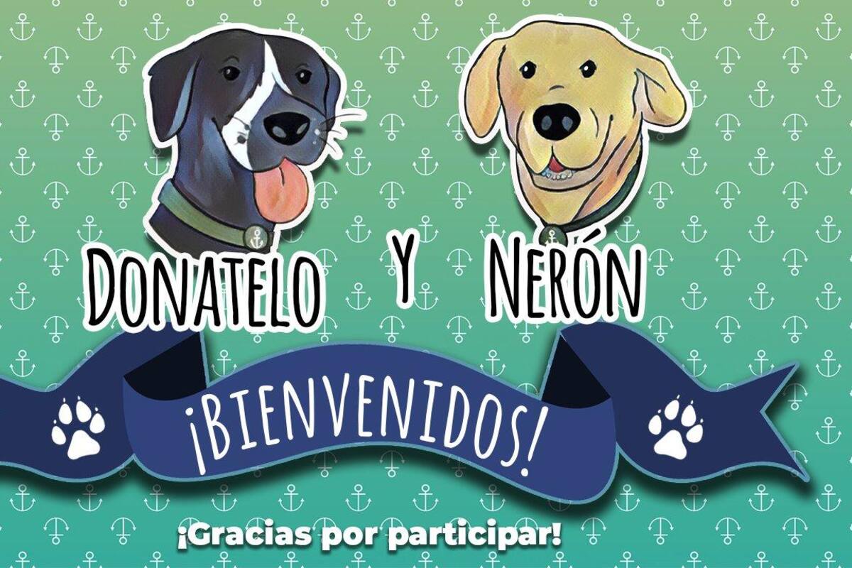 "Donatelo y Nerón", los nombres de perritos adoptados por SEMAR tras rescate en Tabasco