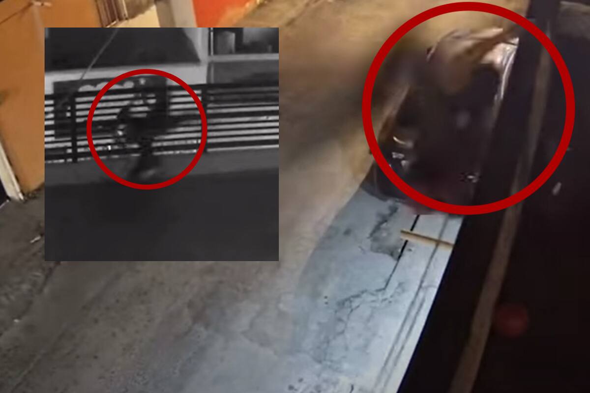 VIDEO: Perros asustan a ladrón y cae de azotea al intentar robar casa en Torreón, Coahuila