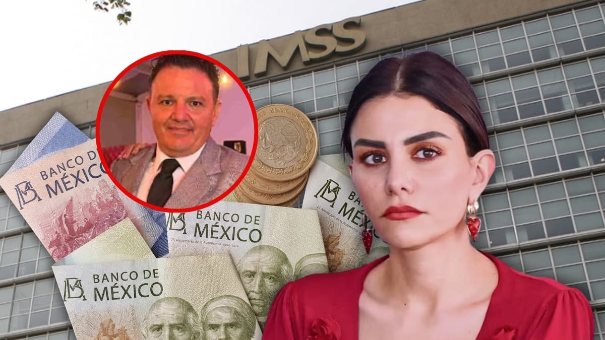 Hermano de Nayeli Salvatori reporta ingreso de 865 mil pesos netos al año por trabajar en el IMSS mientras la diputada enfrenta investigación en Morena