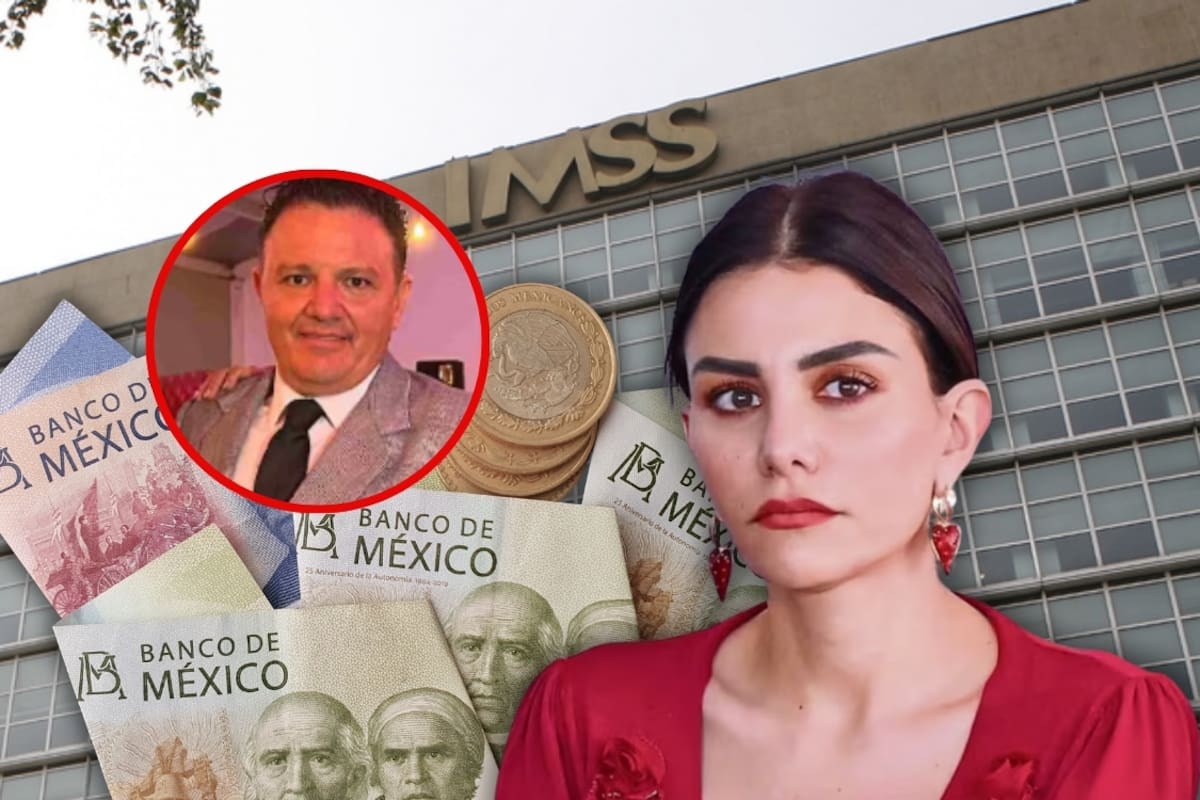 Hermano de Nayeli Salvatori reporta ingreso de 865 mil pesos netos al año por trabajar en el IMSS mientras la diputada enfrenta investigación en Morena