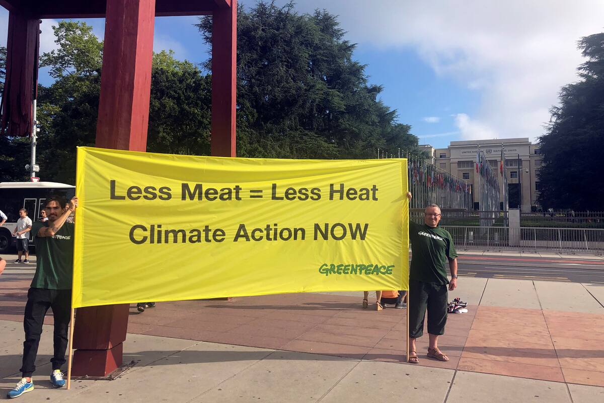 Greenpeace pide consumir menos carne ante la ONU