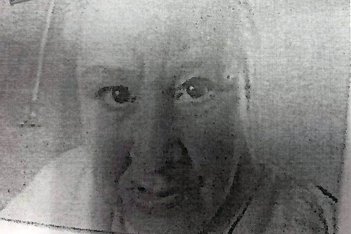 Buscan a mujer de 61 años que escapó de asilo en Tijuana