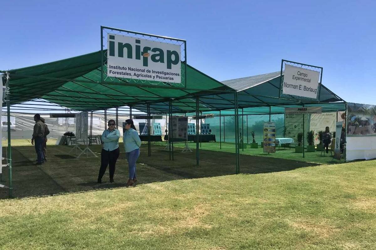 Investigadores del Inifap en Cajeme podrían irse a huelga