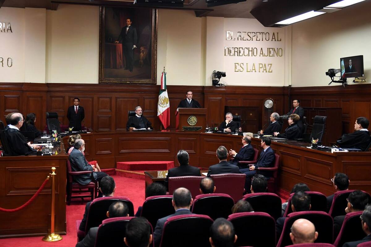SCJN conocerá demanda de niños mayas sobre megagranja porcícola en Yucatán