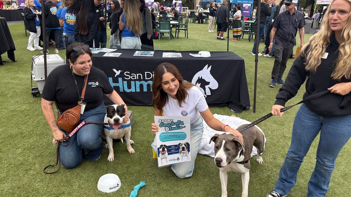Este año, el tema del evento “De patitas a la feria” se enfocará en ayudar a adoptar a los más de 40 mil animales disponibles para adopción en la región incluyendo perros, gatos, y más.