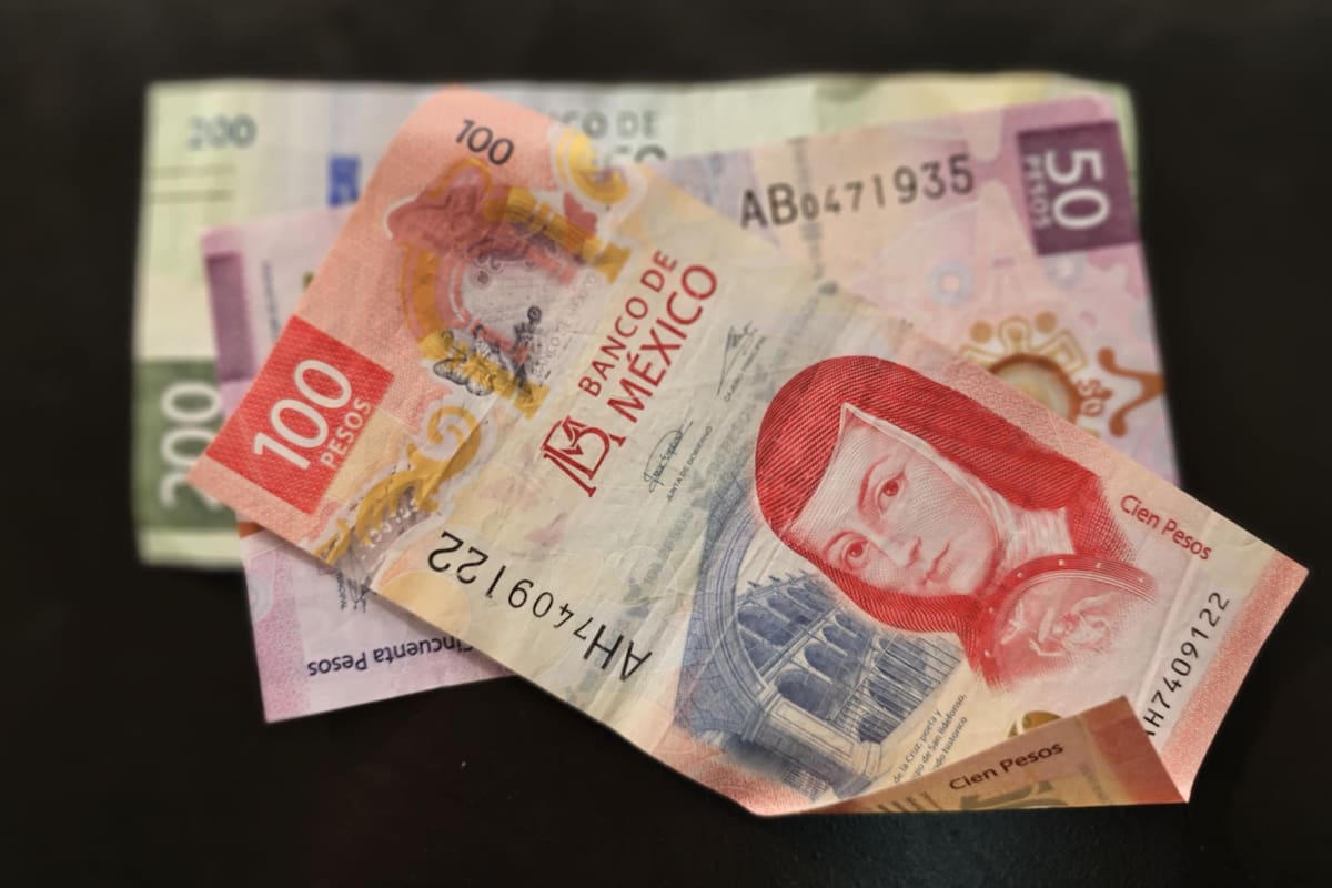 3 tips para identificar los billetes falsos, según el Banco de México