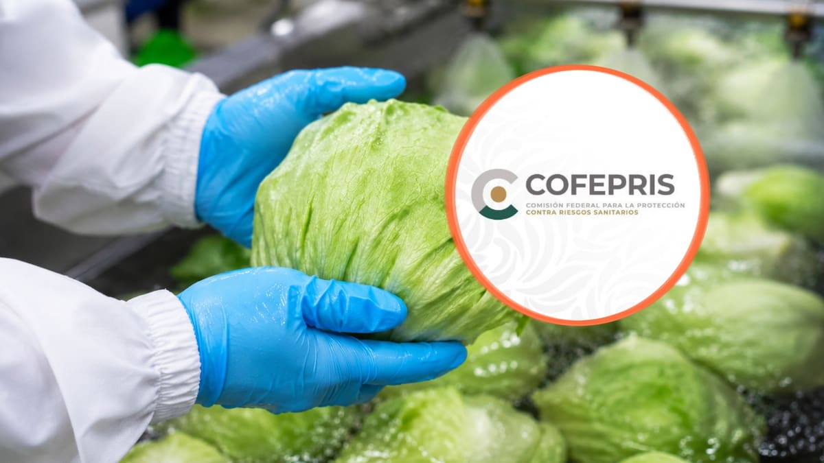 Cofepris descarta Cyclospora en muestras de Taylor Farms México aunque EEUU mantiene abierta la investigación por el brote