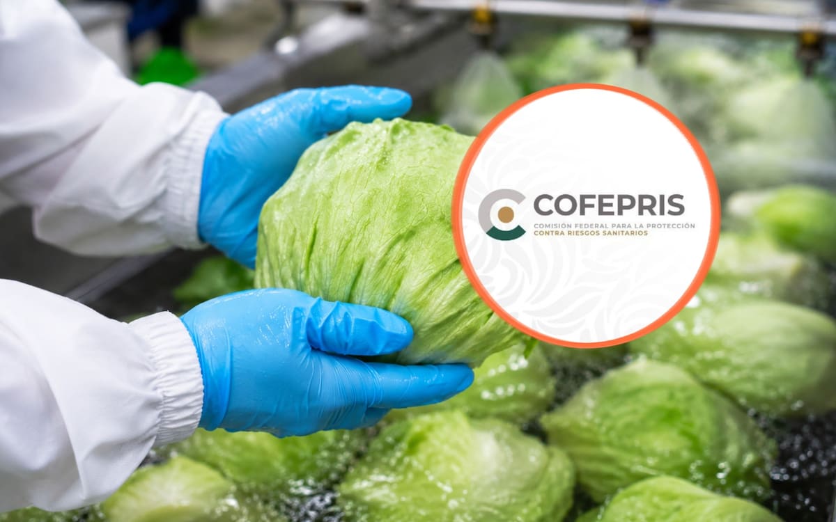 Cofepris descarta Cyclospora en 10 muestras de lechuga y cuatro de agua de Taylor Farms, aunque EEUU mantiene abierta la investigación por el brote. | Crédito: Especial/ChatGPT