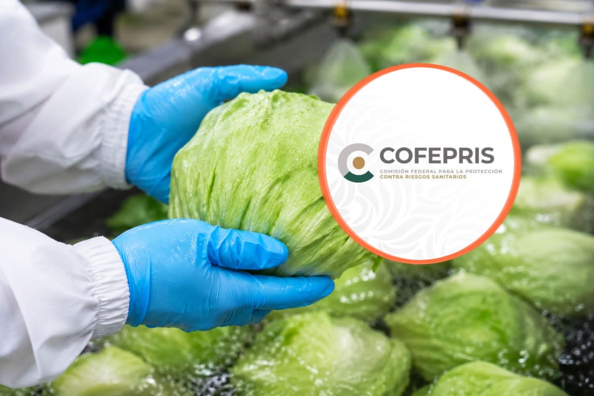 Cofepris descarta Cyclospora en muestras de Taylor Farms México aunque EEUU mantiene abierta la investigación por el brote