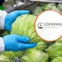 Cofepris descarta Cyclospora en muestras de Taylor Farms México aunque EEUU mantiene abierta la investigación por el brote