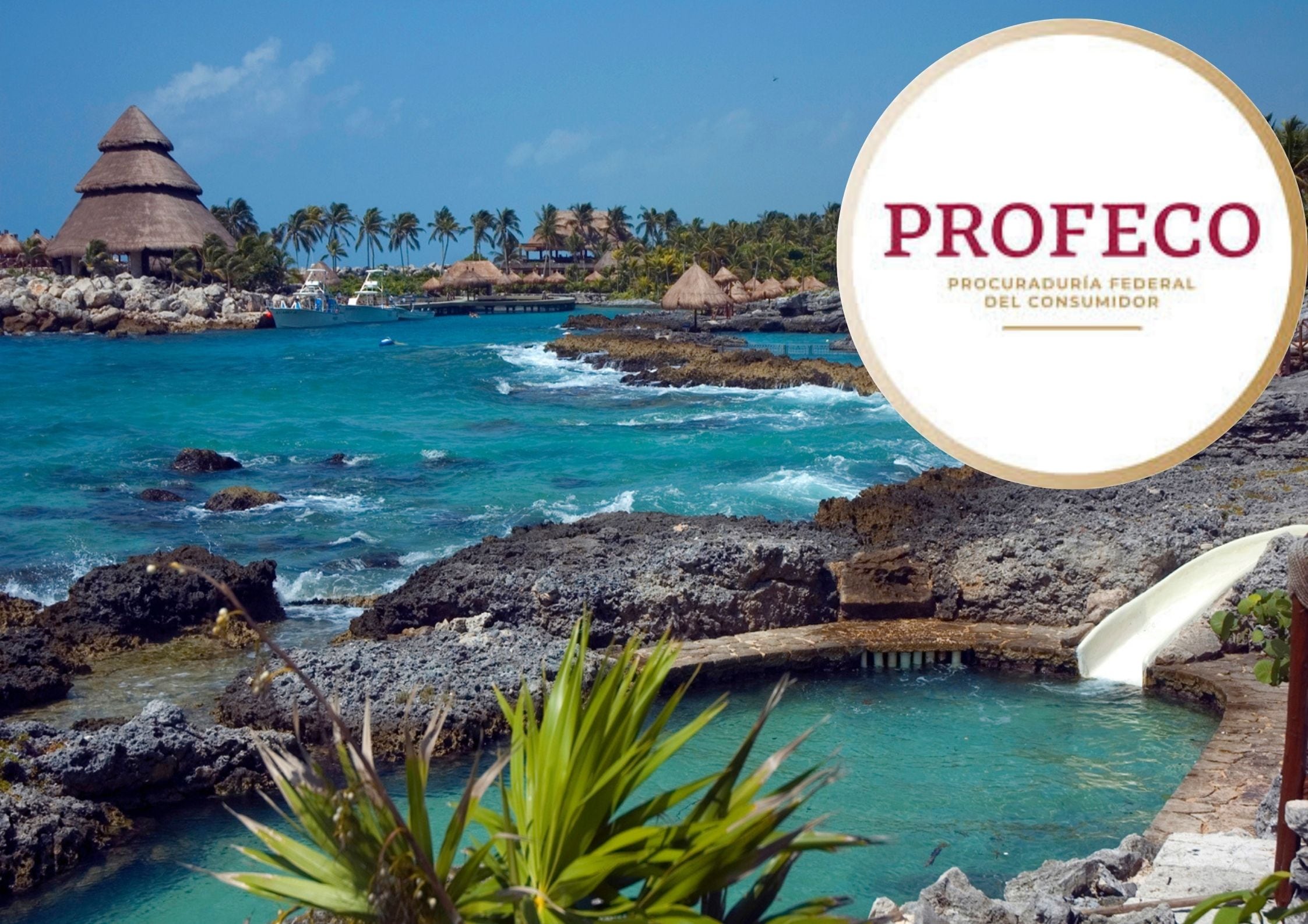 La Profeco informó que se podrán sumar a la acción colectiva quienes hayan sido afectados por el incumplimiento de servicios