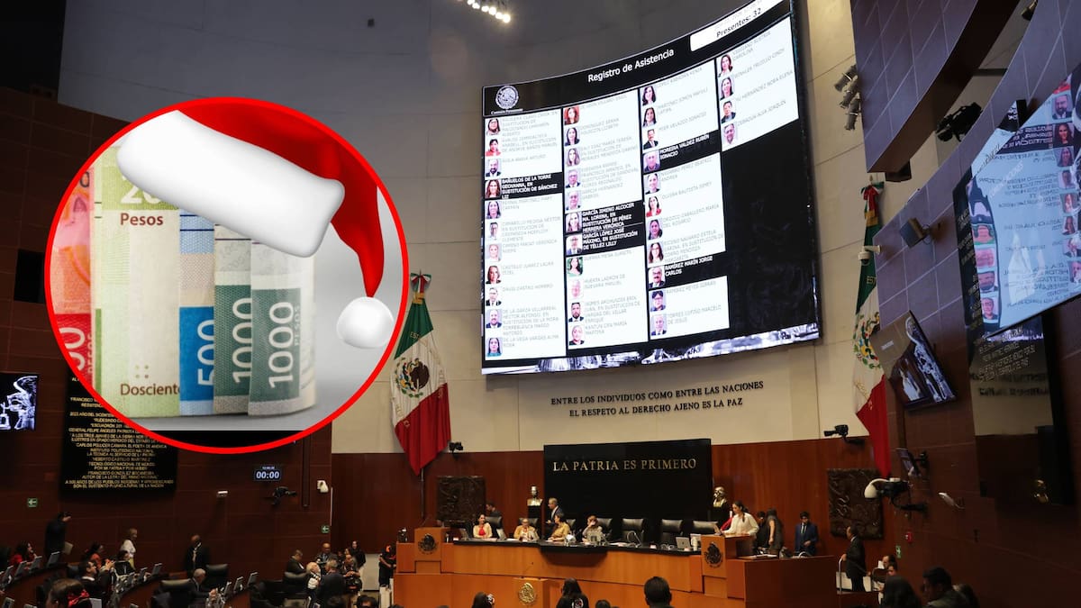 El aguinaldo podría pasar de 15 a 30 días, a partir de 8 años de servicio, si la propuesta de diputados avanza positivamente