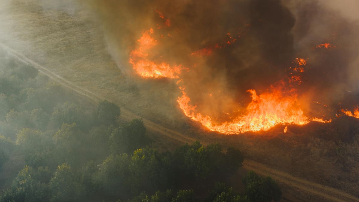 No existe un nivel seguro de exposición, especialmente para niños, personas adultas mayores, mujeres embarazadas y quienes padecen enfermedades crónicas. |Foto: Canva