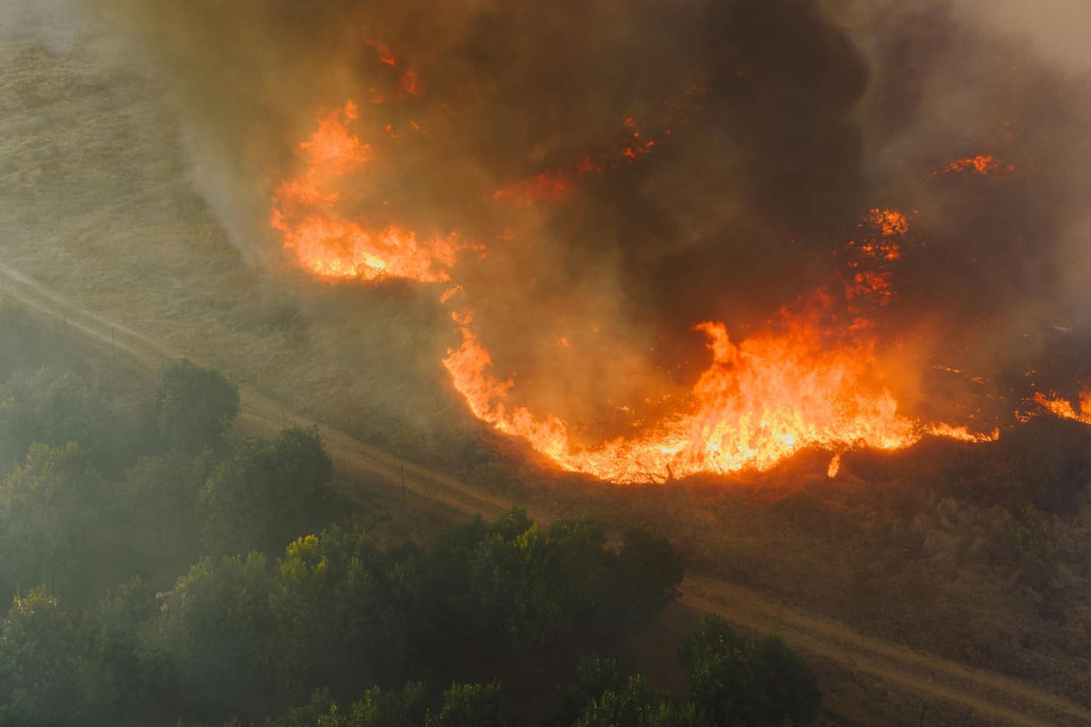 Humo de incendios forestales: por qué representa un riesgo para la salud