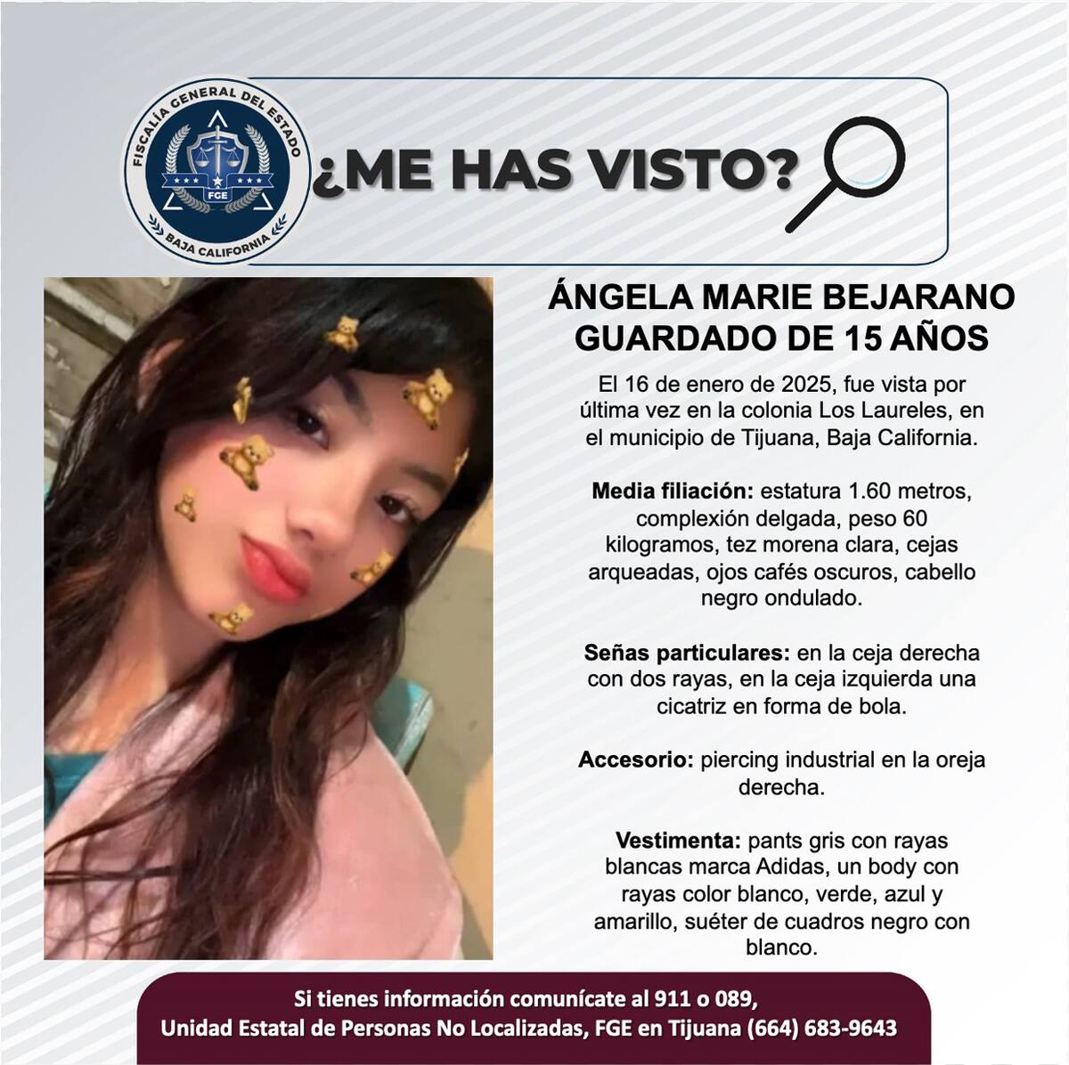 Pesquisa de Ángela Marie Bejarano Guardado.