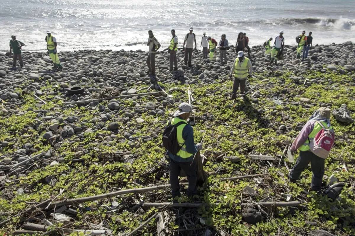 Trabajadores en 2015 buscando piezas del avión MH370 en Saint Andre, Isla de Reunión (Francia). EFE/Arnaud Andrieu