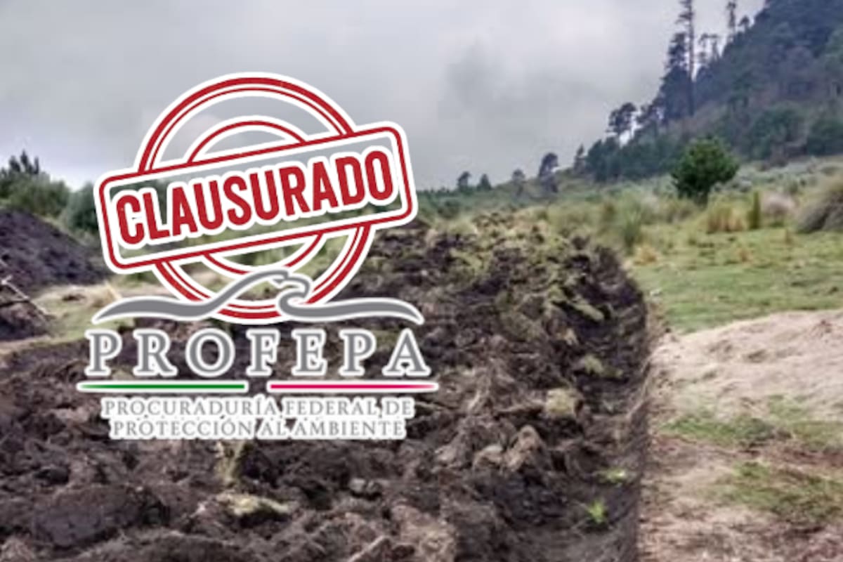 Obra ilegal en zona forestal: Profepa clausura construcción en Edomex por riesgo ambiental