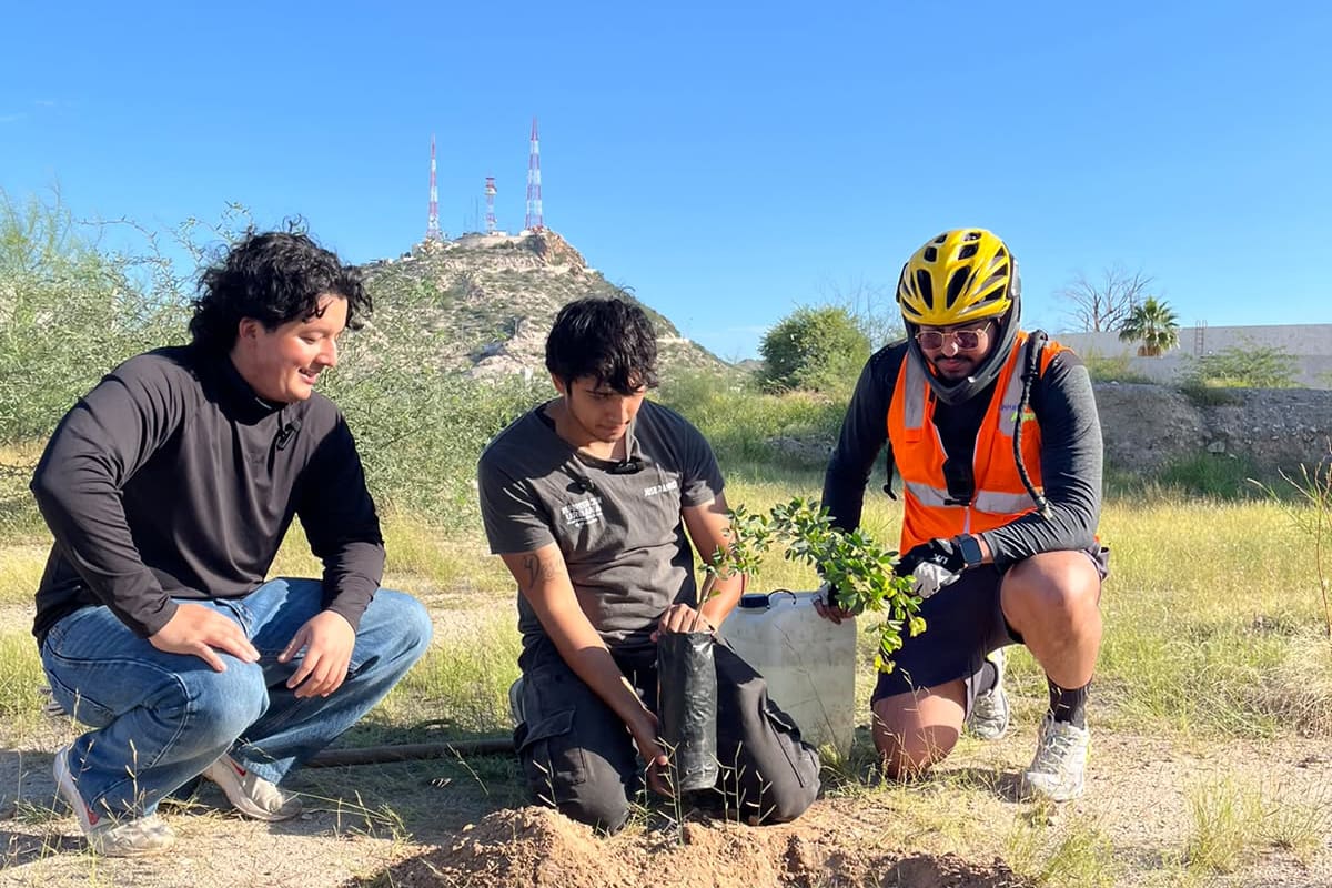 Jóvenes convocan a voluntarios para reforestar el Bosque Urbano Villa de Seris en Hermosillo con especies nativas