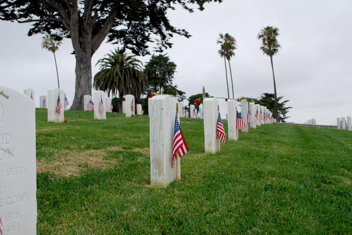 Cerrarán oficinas públicas en San Diego por día de los caídos