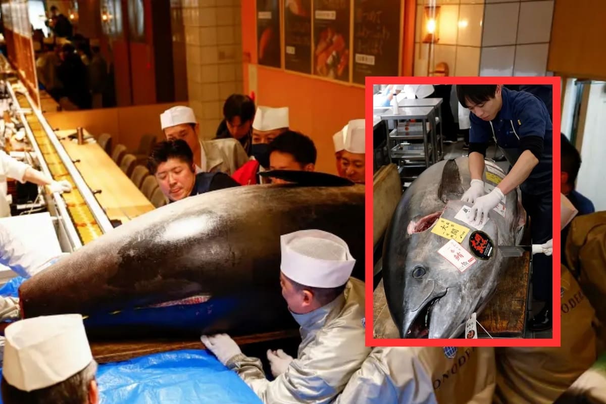 Gigantesco atún rojo se vende por 1.3 millones de dólares en subasta de Tokio, Japón (Imágenes)