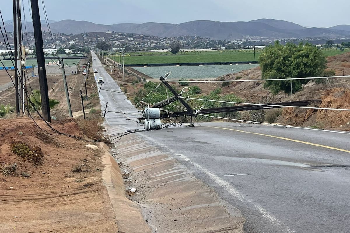 Advierten sobre postes caídos en el Esteban Cantú