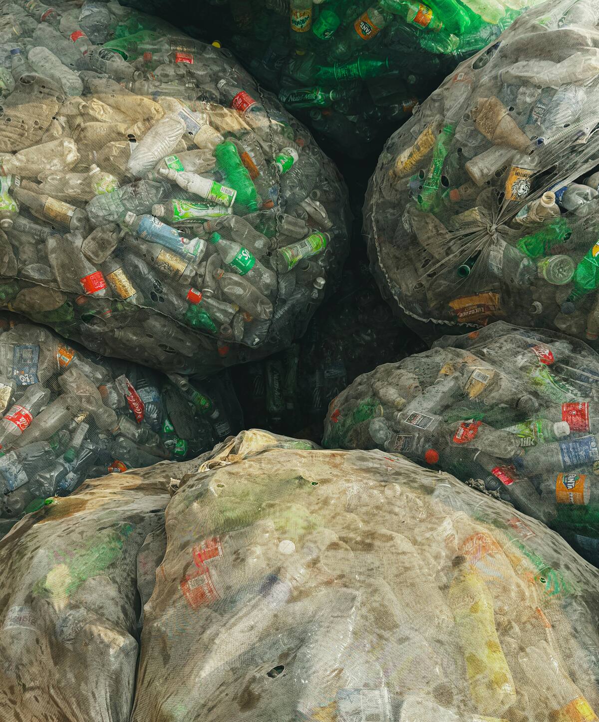 Imagen tomada de Pexels