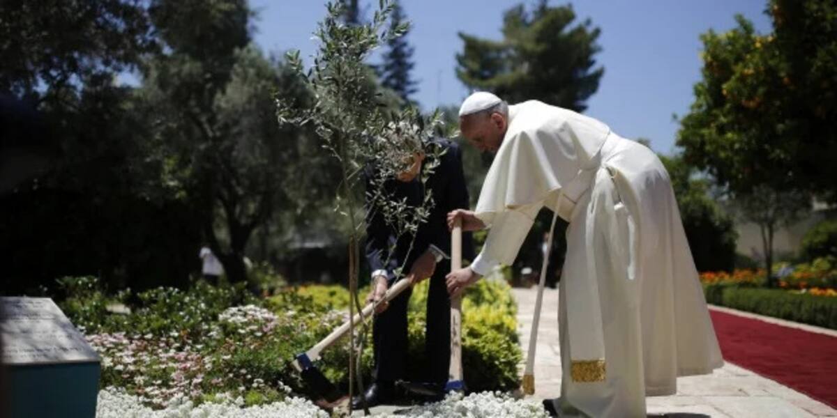La Encíclica Ambiental del Papa Francisco.