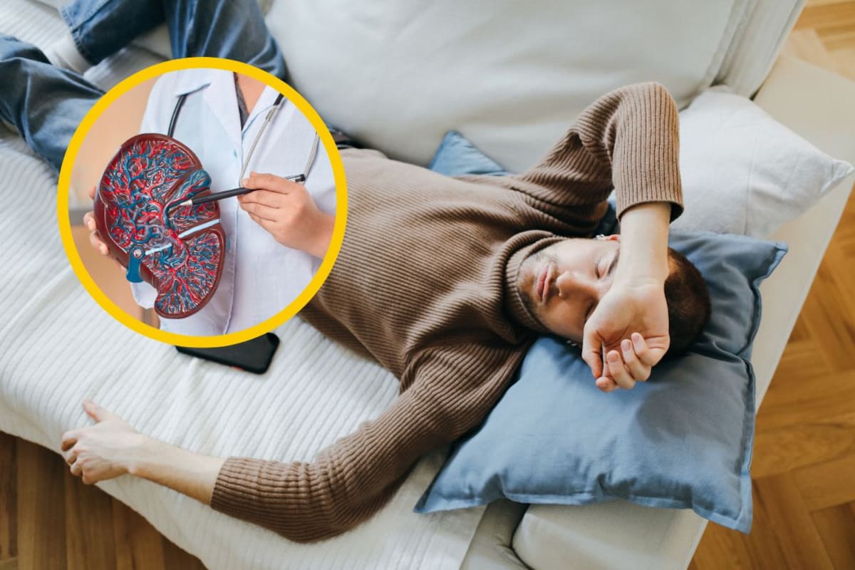Si duermes siestas largas con frecuencia podrías aumentar el riesgo de hígado graso, según estudio