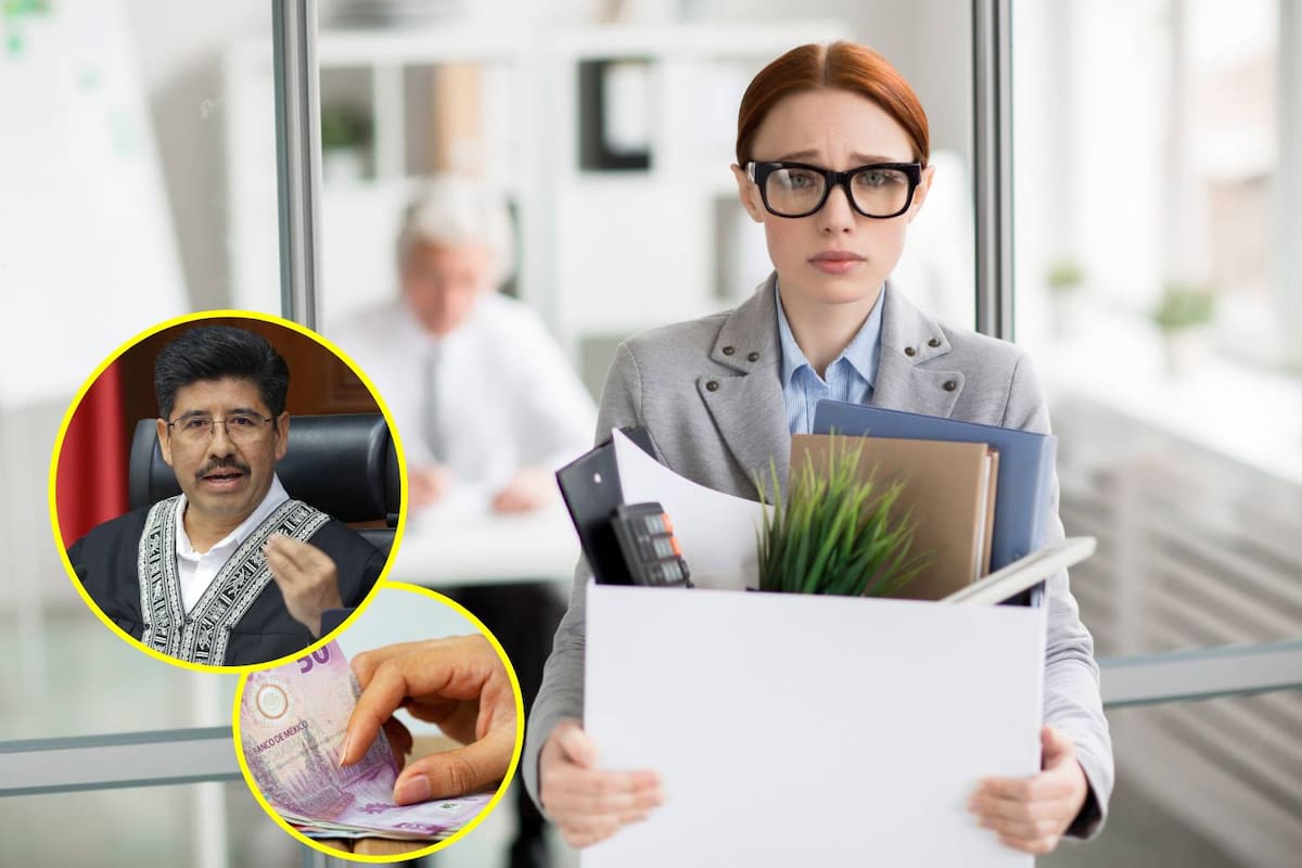 Empresa ignoró demanda por despido injustificado, perdió el juicio y ahora deberá reinstalar a trabajadora con pago de prestaciones