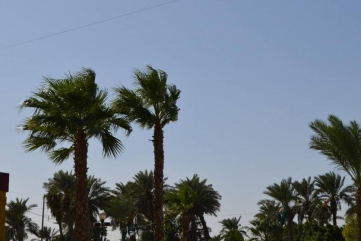 Informa Protección Civil Estatal presencia de lluvias, vientos y descenso de temperatura en BC