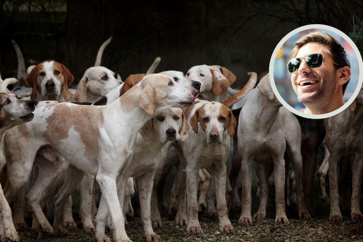 ¿Sabías que tu perro puede saber cómo te sientes? Según un estudio
