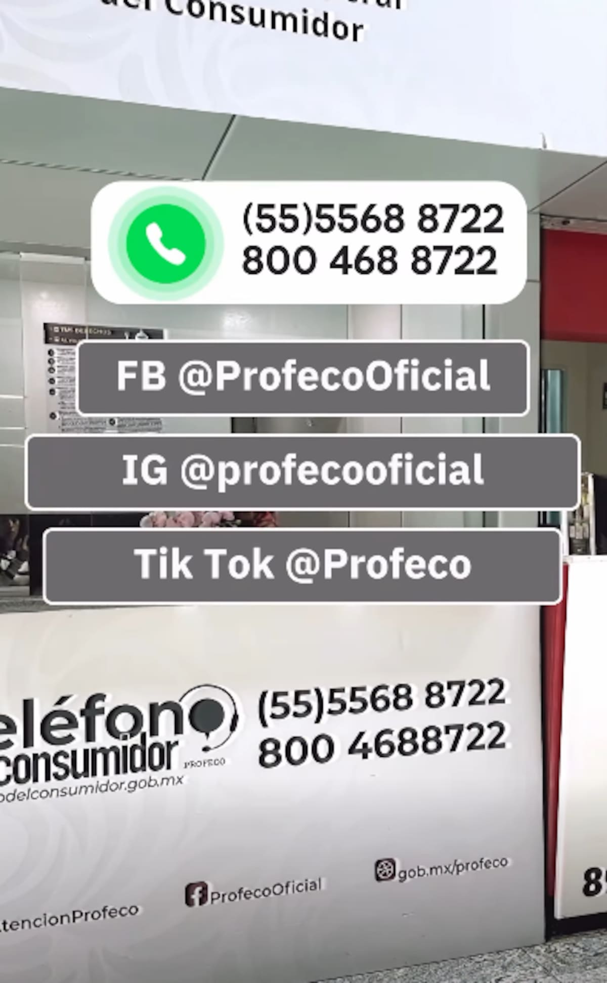 Medios de contacto con Profeco. Foto: Captura de pantalla