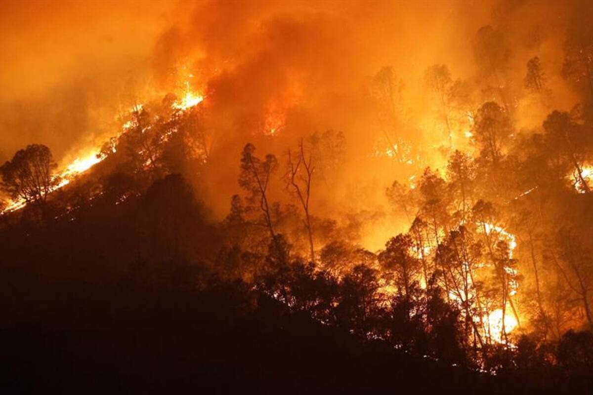Incendios arrasan la cifra récord de 1.62 millones de hectáreas en California