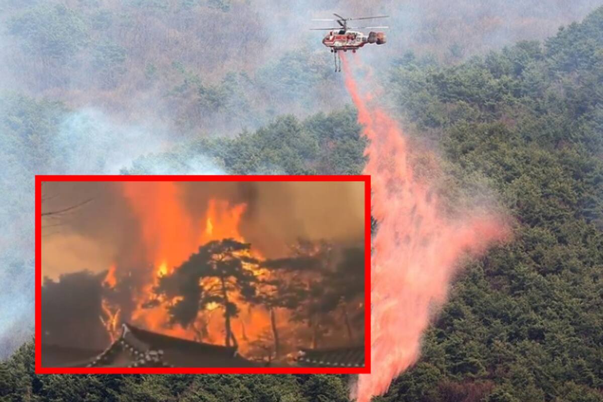 Incendios forestales en Corea dejan al menos 13 muertos y varios desaparecidos | VIDEO