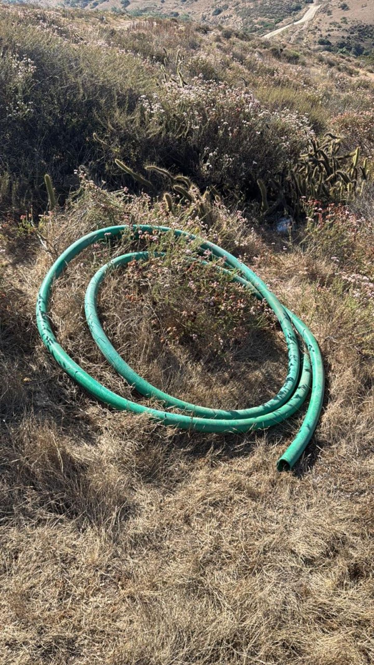 Foto: Carmen Gutiérrez