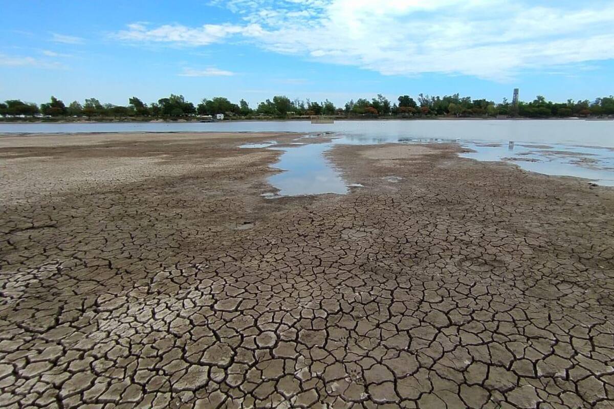 Secan Laguna del Náinari para combatir a pez diablo
