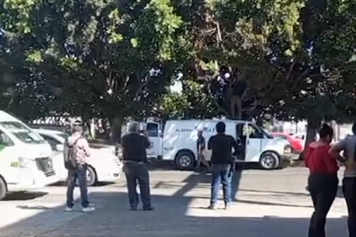 Localizan a hombre sin vida arriba de árbol en bulevar Díaz Ordaz