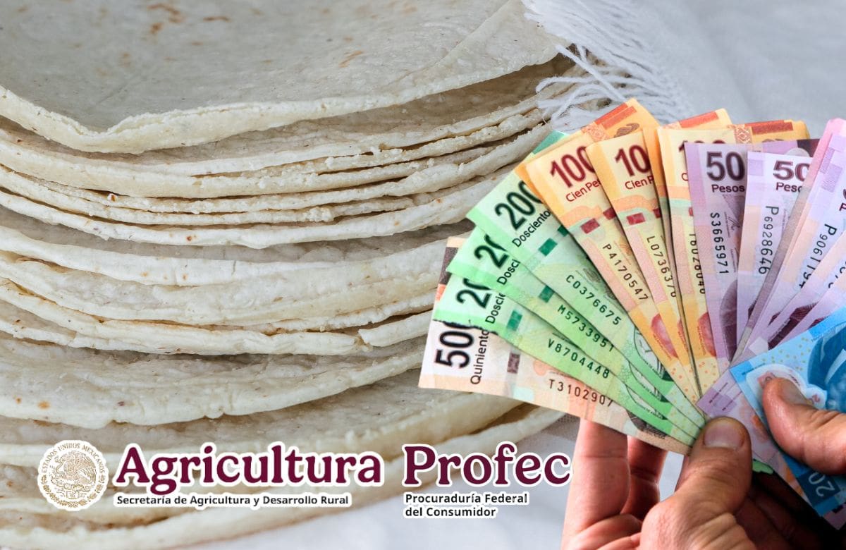 Gobierno de México, a través de AGRICULTURA y Profeco, sostiene que no hay razones para subir el precio.