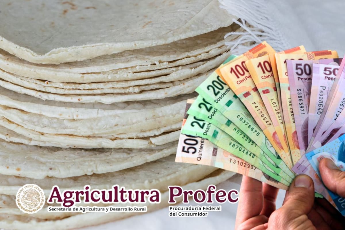 Agricultura y Profeco descartan alza en el precio de la tortilla y aseguran que “no existe un aumento en el costo” del maíz ni de la harina en México