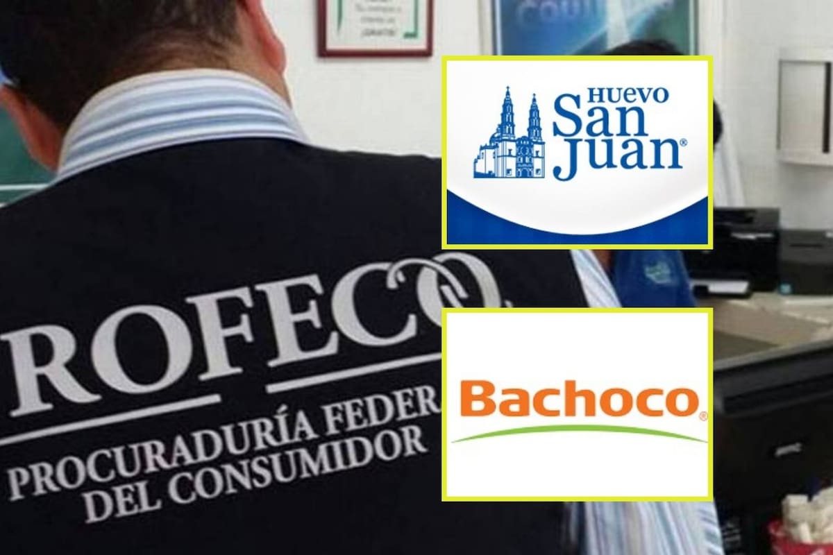 ¿Bachoco o San Juan? Esta es la marca de huevo con más nutrientes, según Profeco