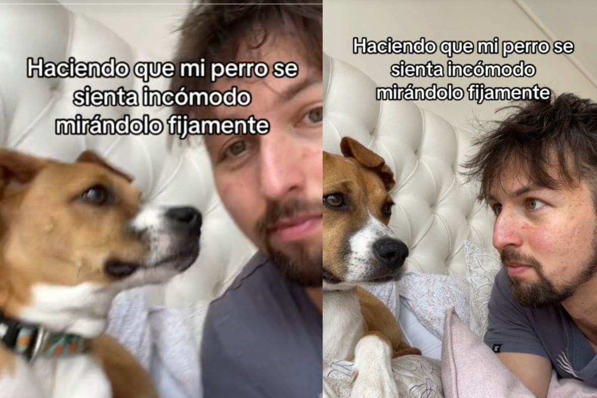 Este hombre provocó que su perro se incomodara al verlo fijamente