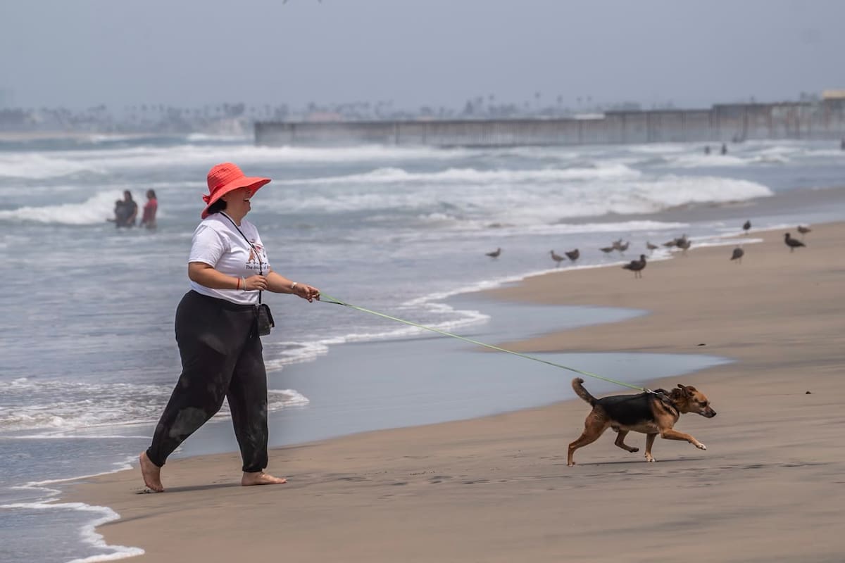Celebran el Día Internacional del Perro con paseos en Playas de Tijuana