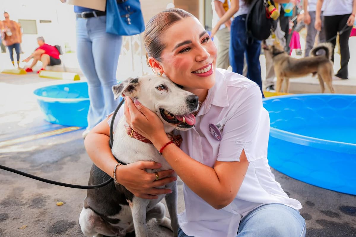 Acerca gobierno de Marina del Pilar servicios gratuitos para perros y gatos en Baja California
