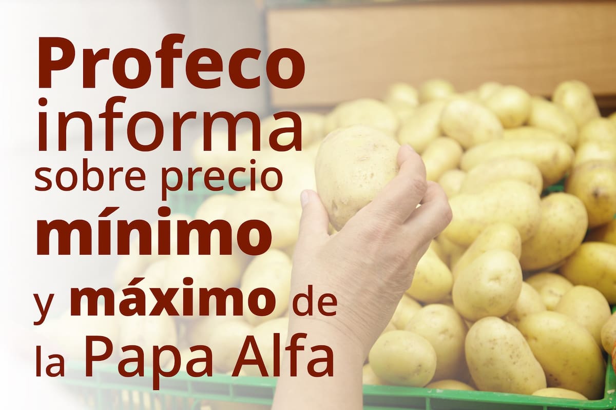 Profeco informa precios de la papa Alfa; este estado registra los costos más altos