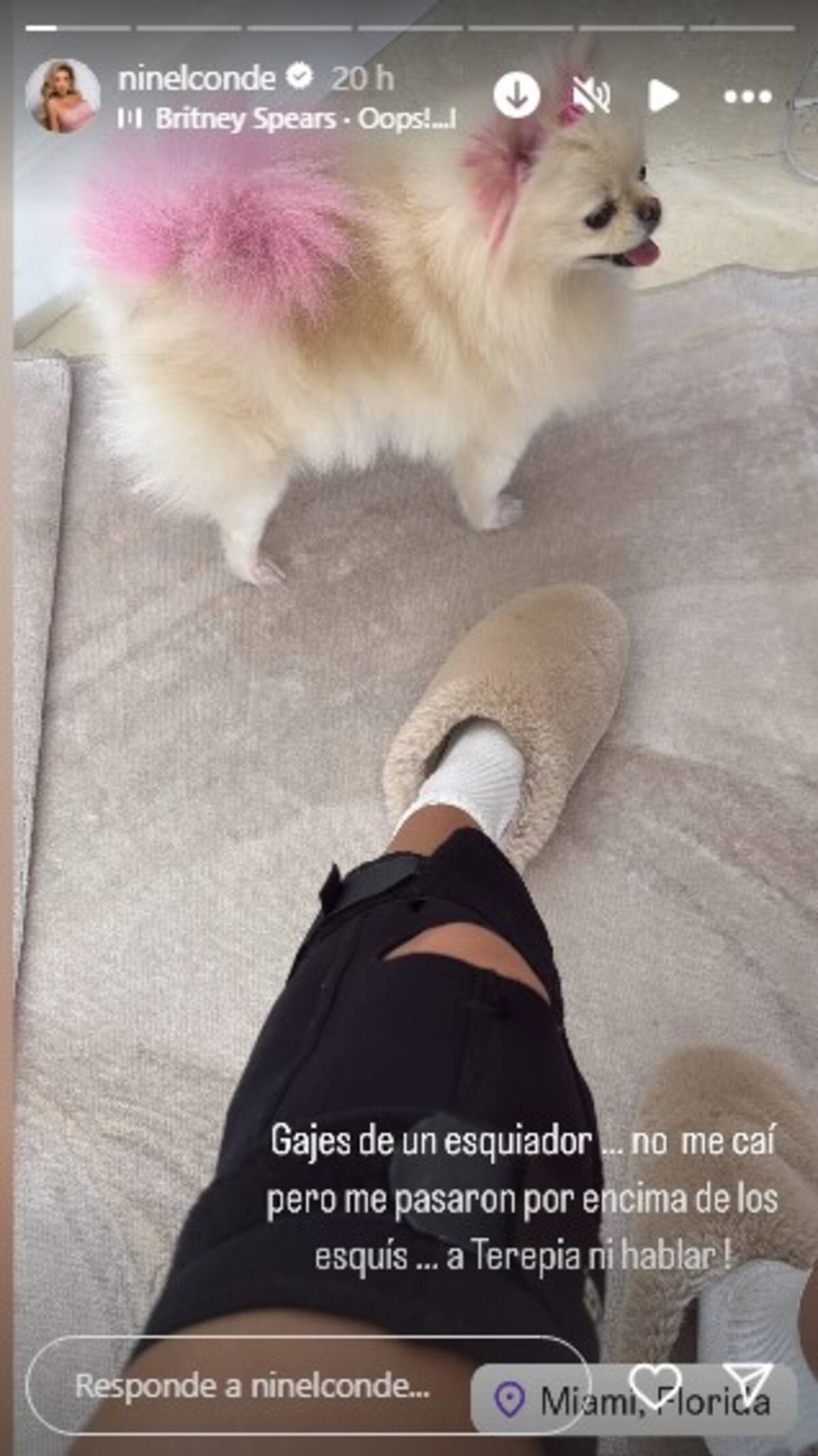 Ninel Conde sufrió un accidente mienstras esquiaba / Instagram @ninelconde