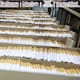 Aseguran casi 2 millones de cigarros falsos