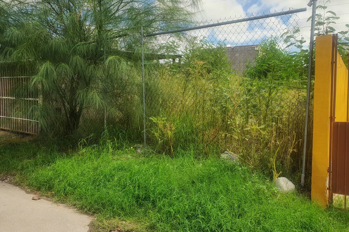 Batallan con canal en colonia Las Villas